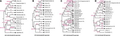 Deep Insights Into the Plastome Evolution and Phylogenetic Relationships of the Tribe Urticeae (Family Urticaceae)